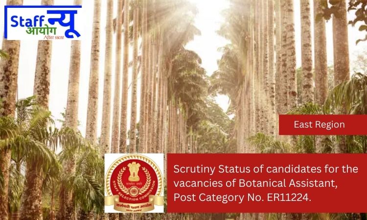 
                                                        Scrutiny Status of candidates for the vacancies of Botanical Assistant, Post Category No. ER11224.