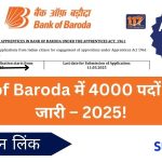 बैंक ऑफ बड़ौदा (Bob) में अपरेंटिस पदों पर 4000 भर्ती – 2025| Last Date Apply now, 🔗 [आवेदन करने के लिए यहां क्लिक करें]