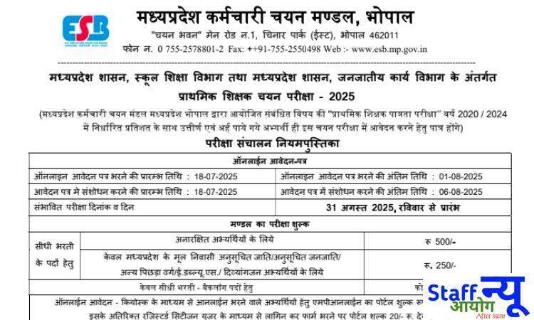 
                                                        एमपी प्राथमिक शिक्षक भर्ती 2025: 13,089 पदों पर सुनहरा अवसर