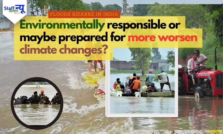 
                                                        Floods Bizarre in India: What 2025 Teaches Us
