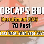 BOBCAPS Hiring 70 BDM