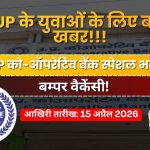 ऑपरेटिव बैंक में सरकारी नौकरी