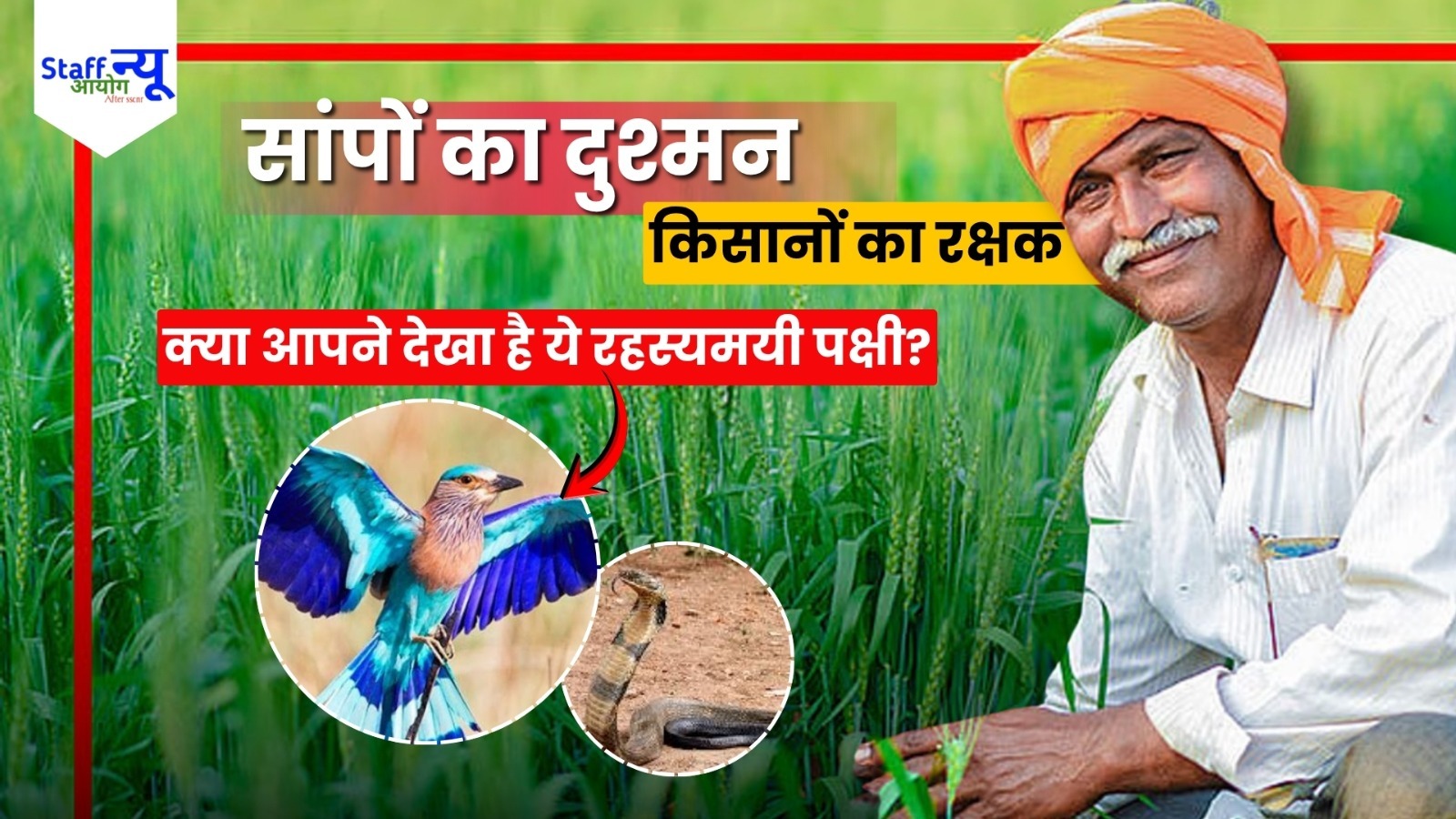 
                                                        खेतों का असली रक्षक है ‘नीलकंठ’ पक्षी!  सांपों का भी करता है शिकार… आखिर क्या है इसका रहस्य?