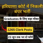 पंजाब एवं हरियाणा हाई कोर्ट क्लर्क भर्ती 2026 1265 पदों पर निकली बंपर भर्ती, ग्रेजुएट उम्मीदवारों के लिए सुनहरा मौका