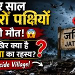 भारत की रहस्यमयी जगह, जहां हर साल हजारों पक्षी मौत को गले लगा लेते हैं! जानिए जटिंगा का अनसुलझा रहस्य