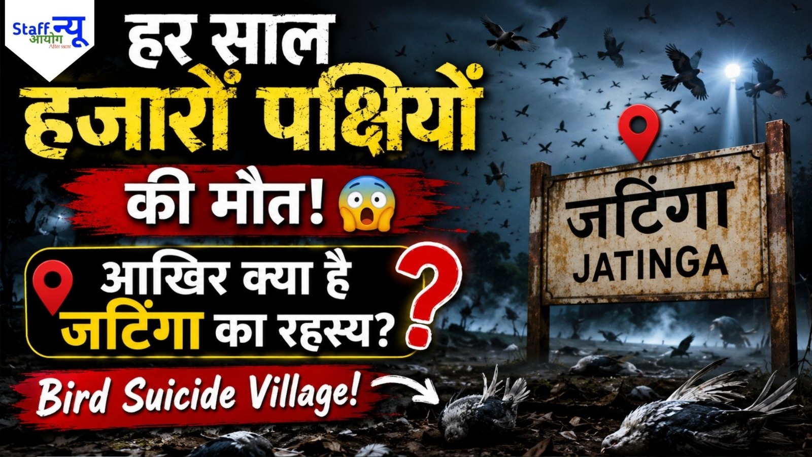 
                                                        भारत की रहस्यमयी जगह, जहां हर साल हजारों पक्षी मौत को गले लगा लेते हैं!  जानिए जटिंगा का अनसुलझा रहस्य