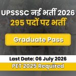 UPSSSC Recruitment 2026: 295 पदों पर निकली बंपर भर्ती, ग्रेजुएट उम्मीदवारों के लिए सुनहरा मौका