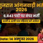 गुजरात आंगनवाड़ी भर्ती 2026: 6,843 पदों पर निकली भर्ती, 10वीं-12वीं पास महिलाओं के लिए मौका, ऐसे करें ऑनलाइन आवेदन