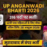 UP Anganwadi Moradabad Recruitment 2026: 316 पदों पर निकली भर्ती, 12वीं पास महिलाएं करें आवेदन