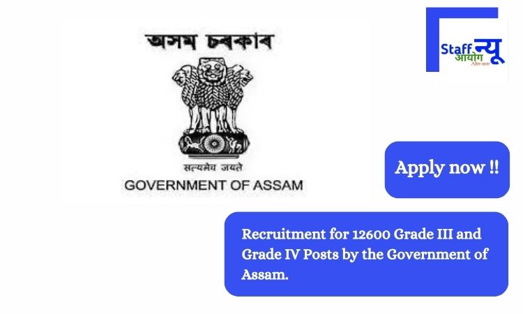 Assam Budget: Funds for creating 2 lakh entrepreneurs, 40,000 fresh govt  hirings - Nagaland TribuneNagaland Tribune