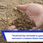World Soil Day: Soil health is a great instrument to measure climate change