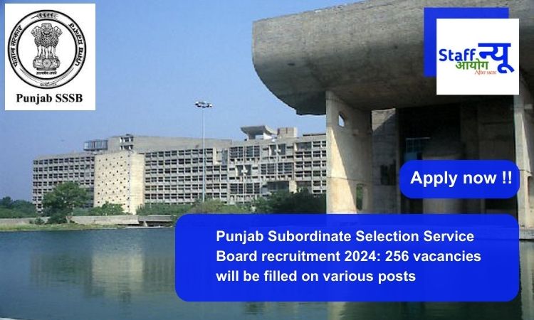 
                                                        Punjab Subordinate Selection Service Board recruitment 2024: 256 vacancies will be filled on various posts. Apply now !!
