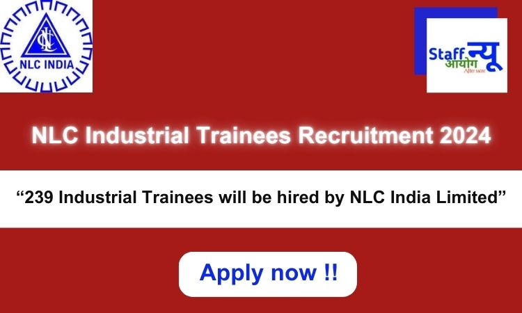 
                                                        NLC Industrial Trainees Recruitment 2024: 239 vacancies will be filled. Apply now !!