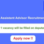 NDMA Assistant Advisor Recruitment 2024 1 vacancy will be filled. Apply now !!