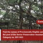 Find the names of Provisionally Eligible candidates for the post of the Senior Preservation Assistant Post Category no. ER11023