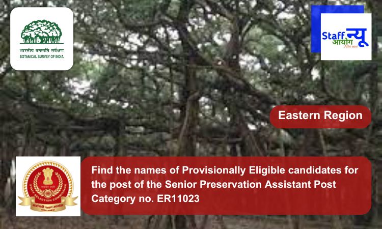 
                                                        Find the names of Provisionally Eligible candidates for the post of the Senior Preservation Assistant Post Category no. ER11023
