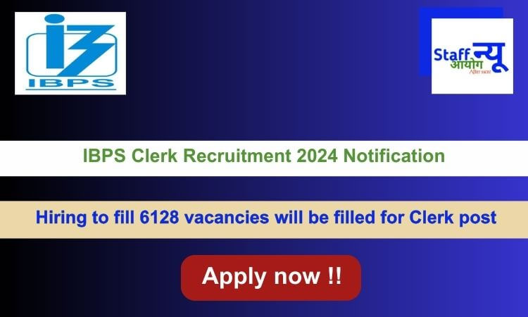 
                                                        IBPS Clerk Recruitment 2024 Notification, Apply Online for 6128 Posts