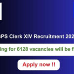 IBPS Clerk XIV Recruitment 2024 6128 vacancies will be filled. Apply now !!