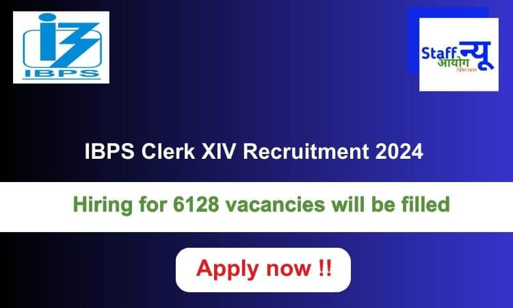 
                                                        IBPS Clerk XIV Recruitment 2024: 6128 vacancies will be filled. Apply now !!
