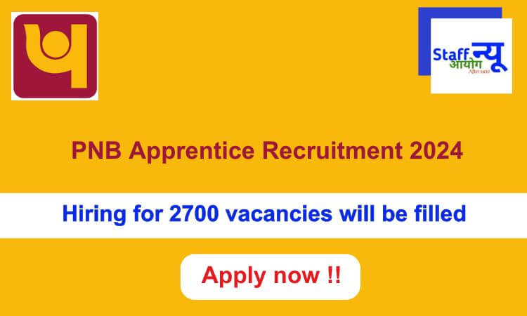 
                                                        PNB Apprentice Recruitment 2024: 2700 vacancies will be filled. Apply now !!