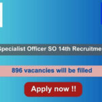 IBPS Specialist Officer SO 14th Recruitment 2024, Apply Online for 896 vacancies