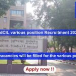 EdCIL various position Recruitment 2024, Apply Online for 20 vacancies