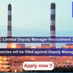 NTPC Limited Deputy Manager Recruitment 2024, Apply Online for 250 vacancies