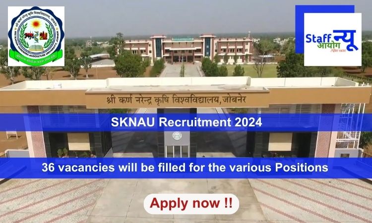 
                                                        SKNAU Recruitment 2024, Apply Online for 36 vacancies